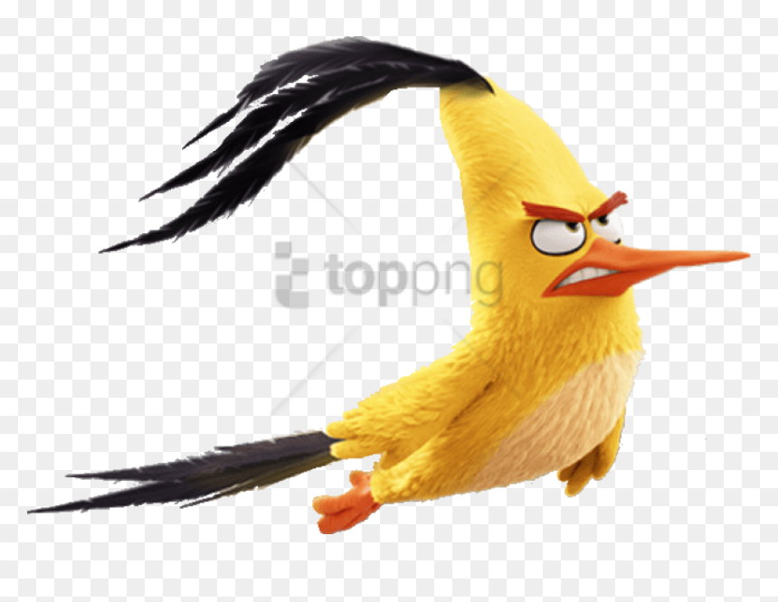 Free Png Angry Birds Movie Chuck Flying Png Image With - Angry Birds Chuck Flying, Transparent Png - angry bird png