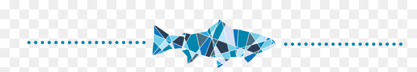 Marine Mammal, HD Png Download - separator png
