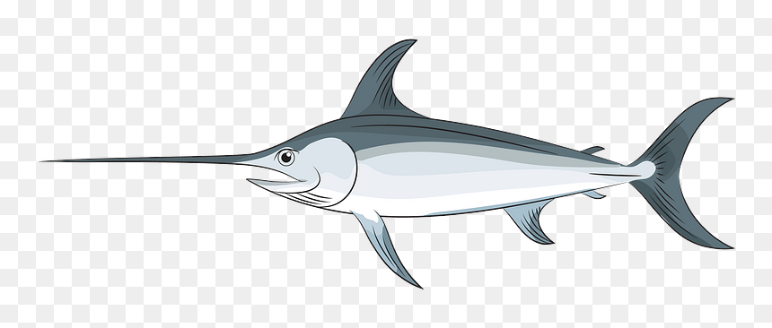 Swordfish Clipart - Swordfish, HD Png Download - espada png