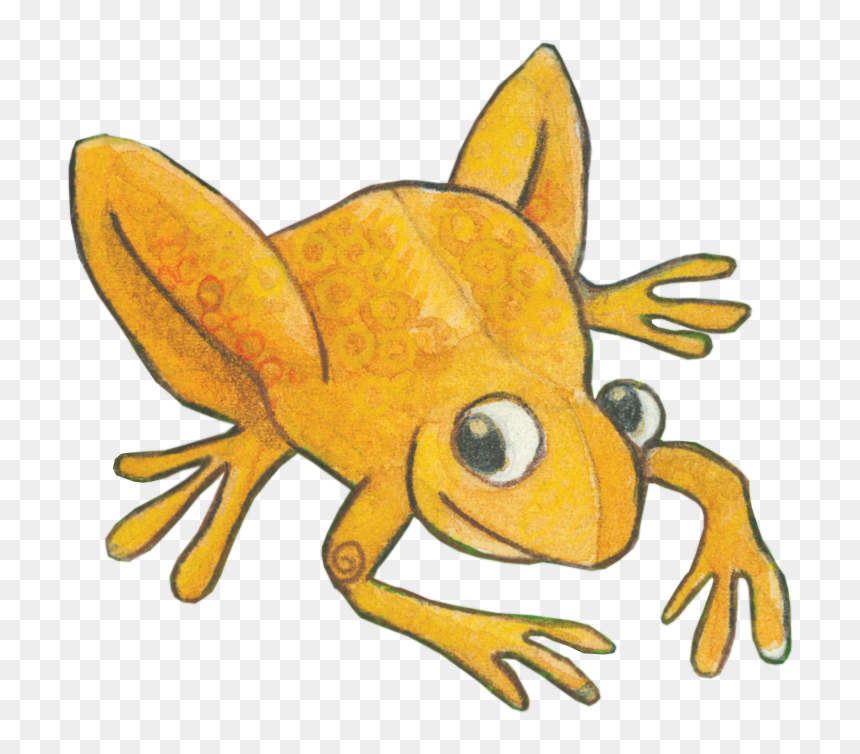 Coqui - True Frog, HD Png Download - espada png