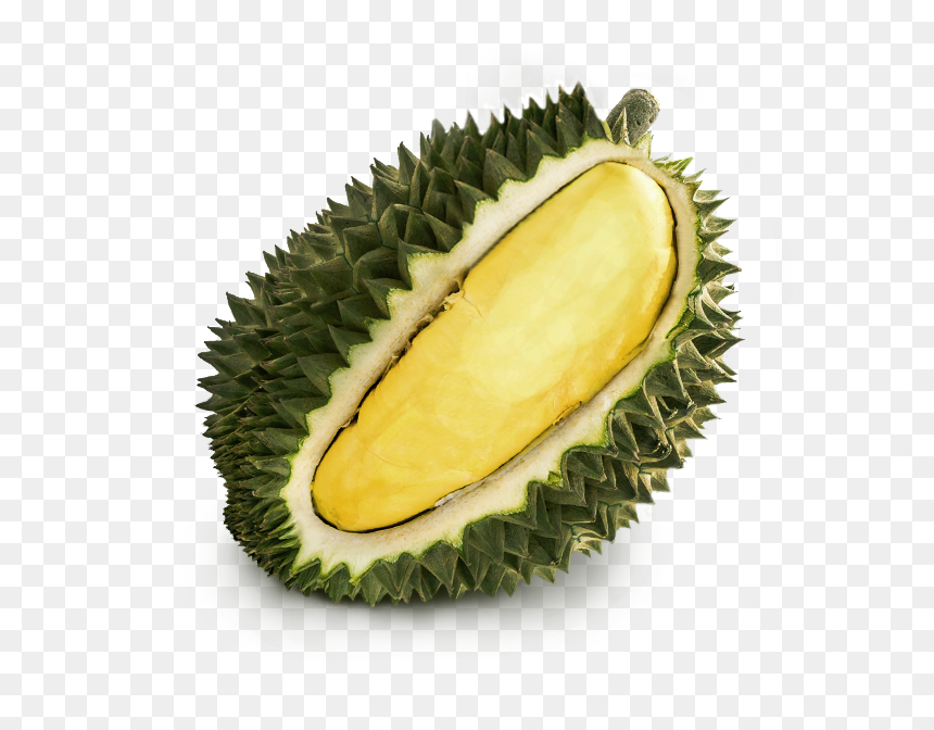 Certificación G7, HD Png Download - durian png
