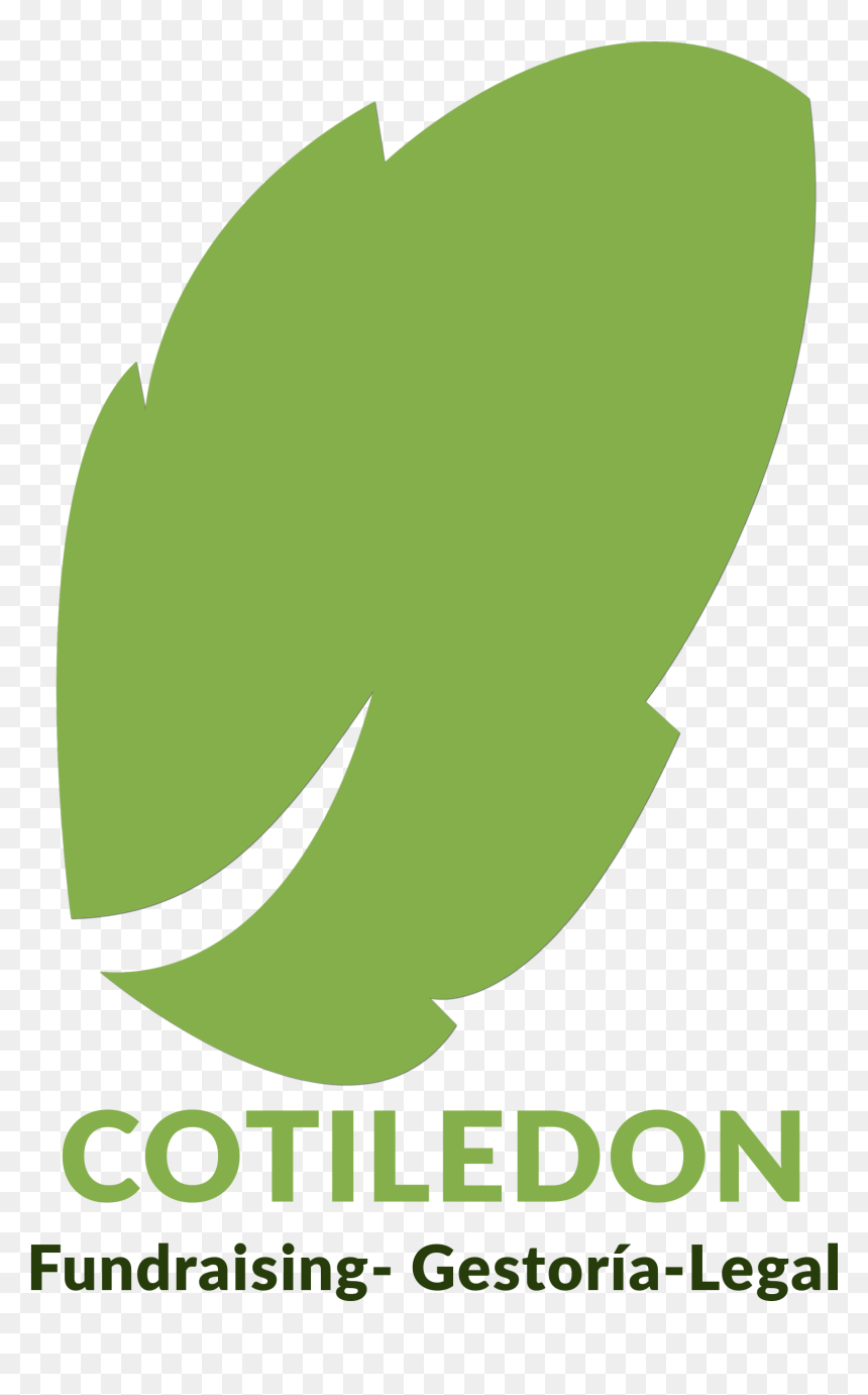 Cropped Logo Cuadrado - Poster, HD Png Download - bosch logo png