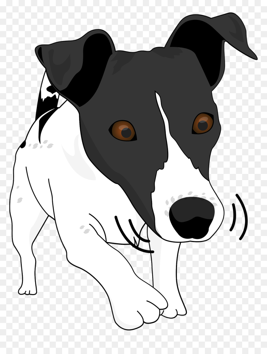 Dog, HD Png Download - funny dog png