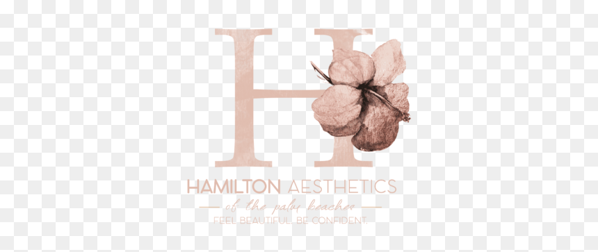 Rose, HD Png Download - h logo png
