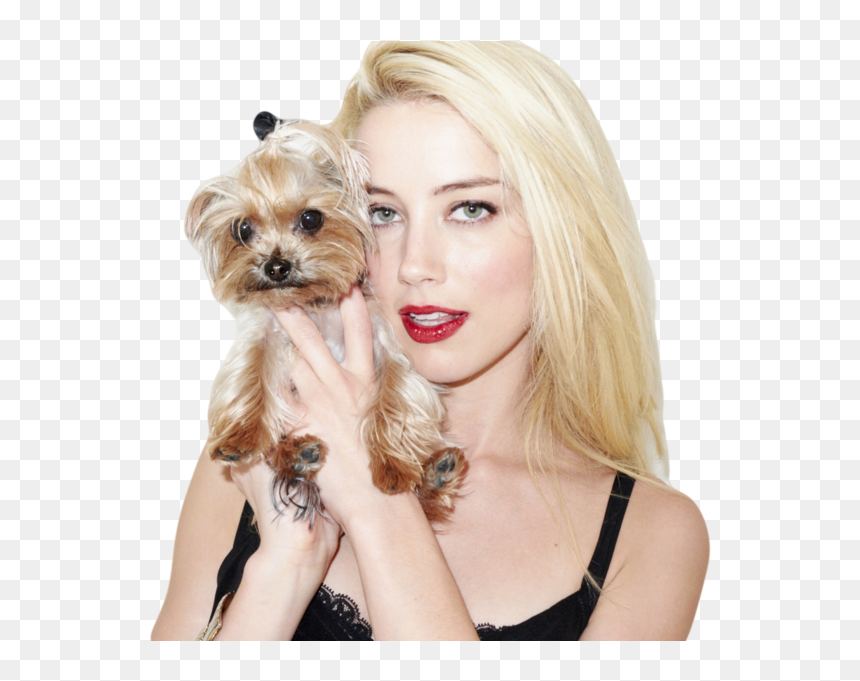 Amber Heard Dog, HD Png Download - amber heard png