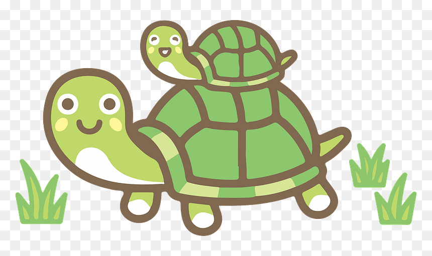 Turtle Animal Clipart - Turtles, HD Png Download - turtle clipart png