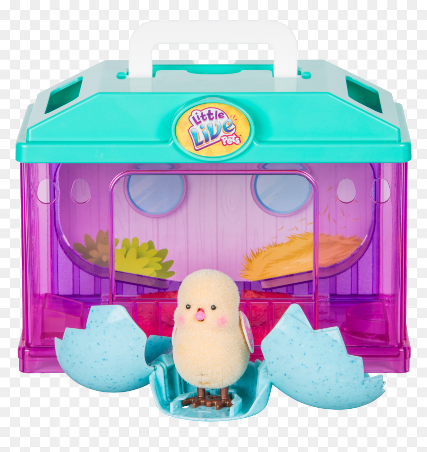 Llp Baby Chick House S - Little Live Pets, HD Png Download - baby chick png