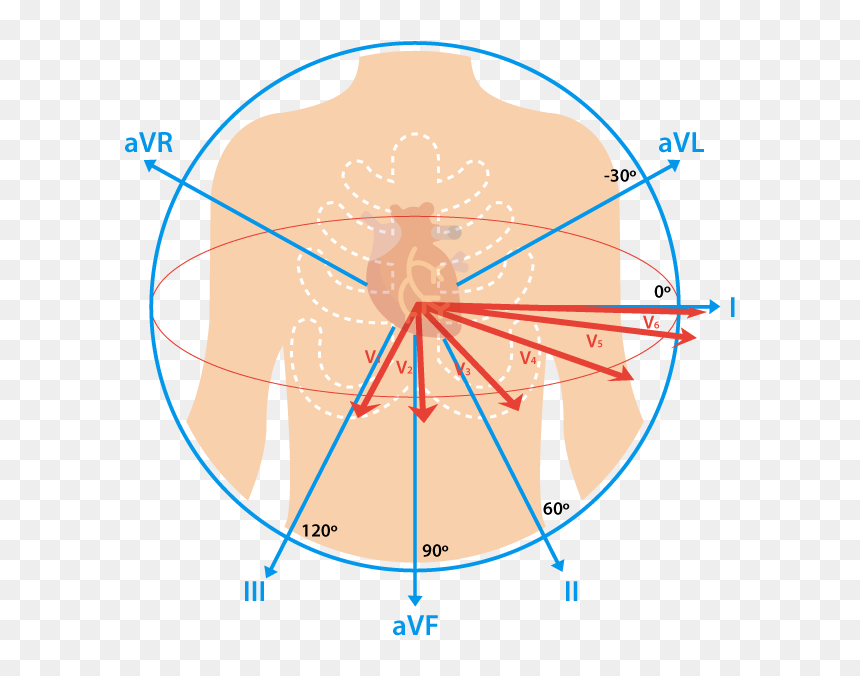 Ekg Lead, HD Png Download - heart monitor line png