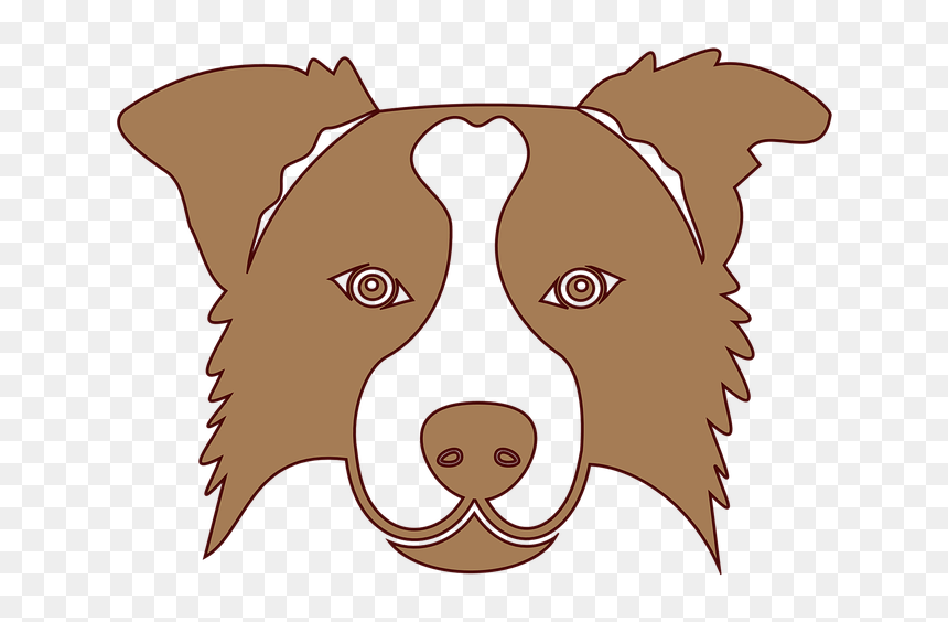 Brown Border Collie Icon Transparent, HD Png Download - funny dog png