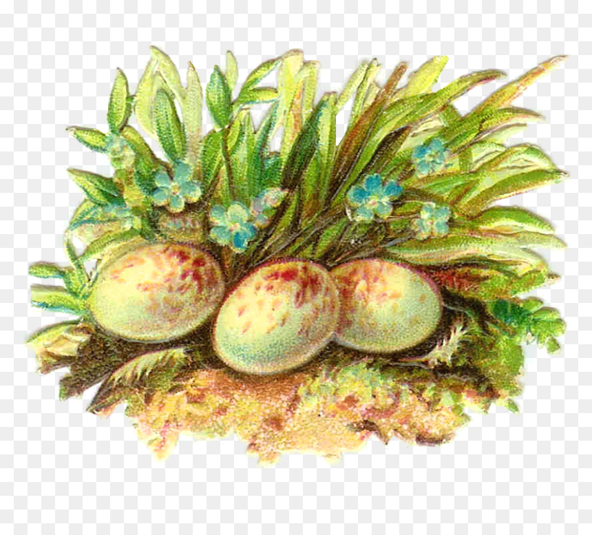 Easter Egg, HD Png Download - easter eggs in grass png