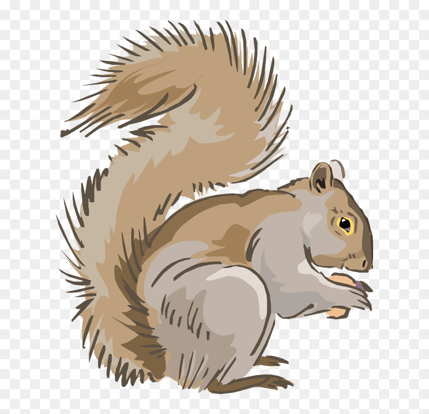 Indian Clipart Squirrel, Indian Squirrel Transparent - Free Clip Art Squirrel, HD Png Download - squirrel clipart png