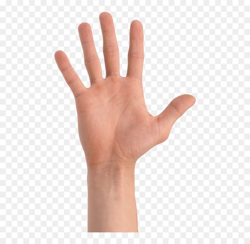 Black Box Testing - Cartaz Museu Da Casa Brasileira, HD Png Download - back of hand png