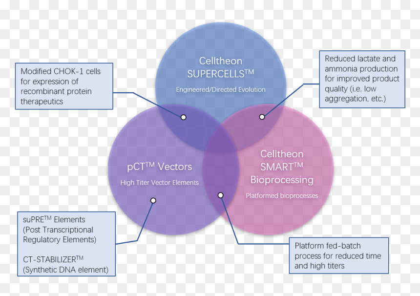 Diagram, HD Png Download - technology vector png