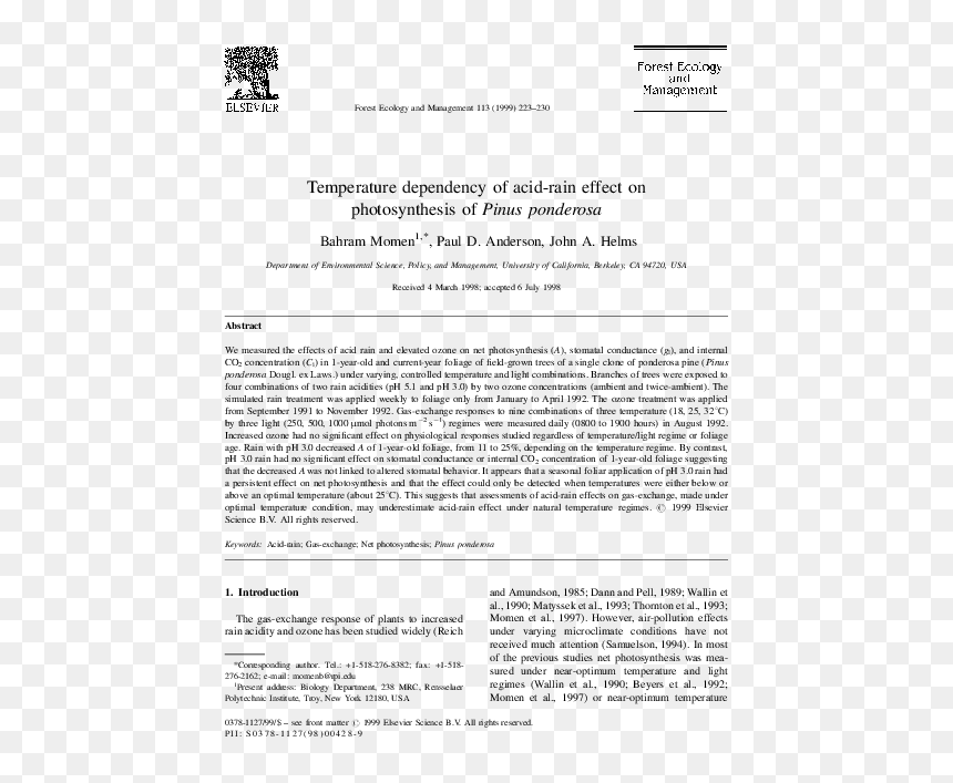 Document, HD Png Download - rain effect png