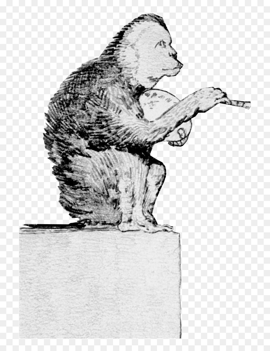 Monkey - White-headed Capuchin, HD Png Download - cartoon monkey png