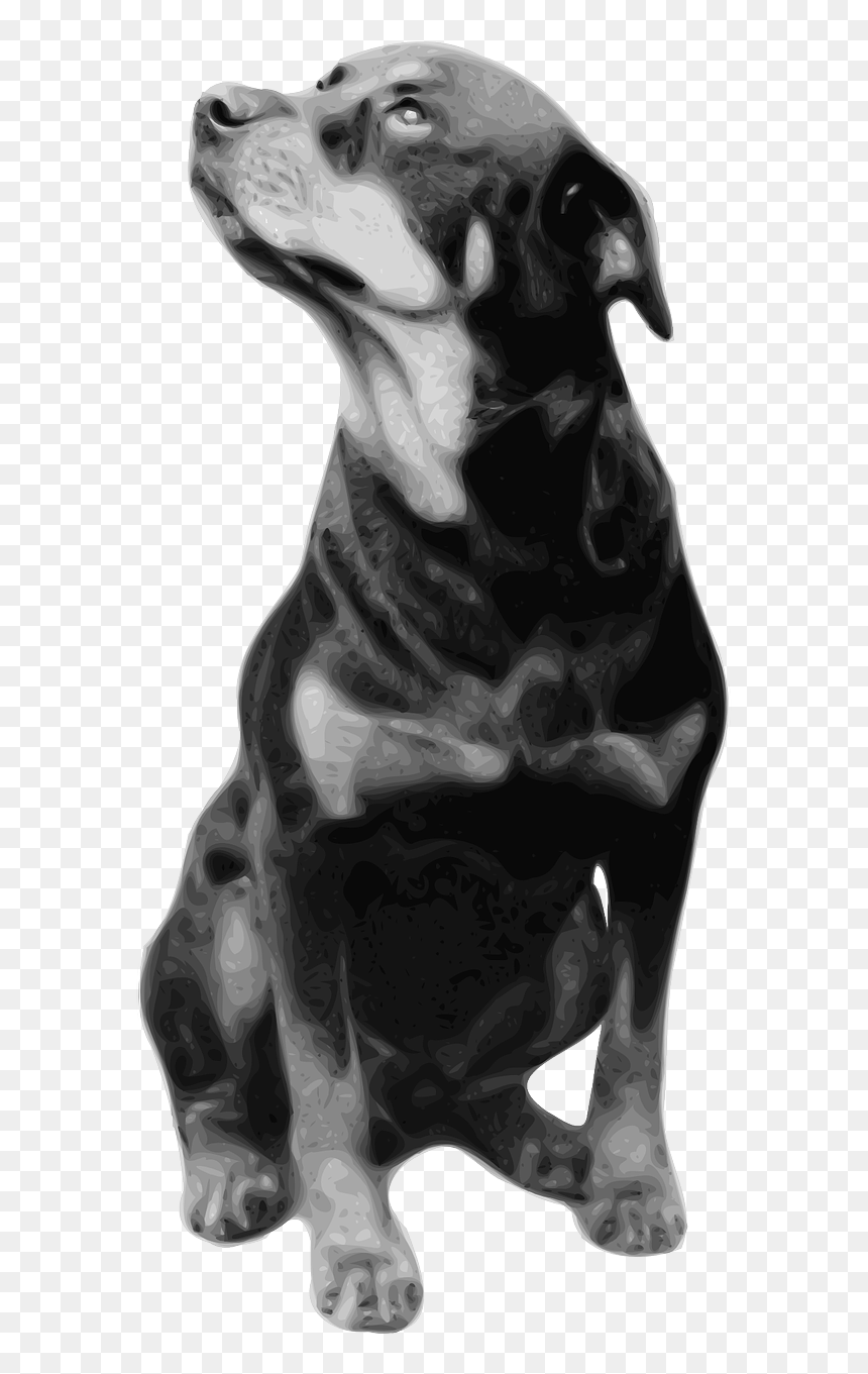 Rottweiler T Shirt Breed Clip Art - Rottweiler Quotes, HD Png Download - rottweiler png