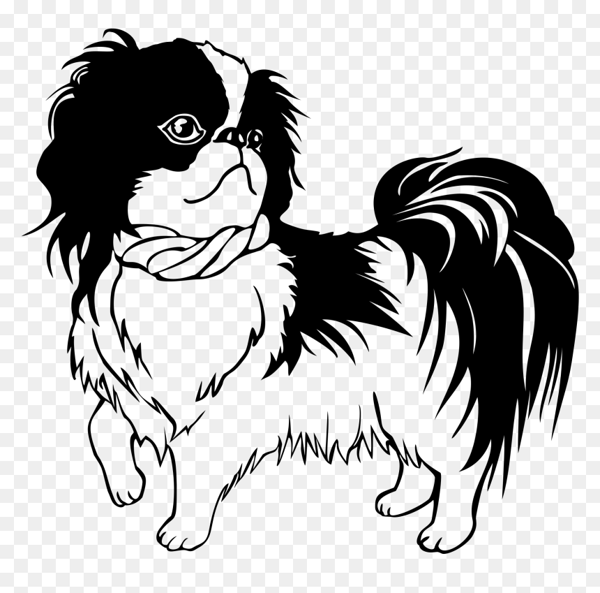 Shih Tzu Line Art , Png Download - Black And White Shih Tzu Vector, Transparent Png - shih tzu png