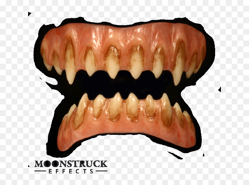 Bone, HD Png Download - vampire fang png