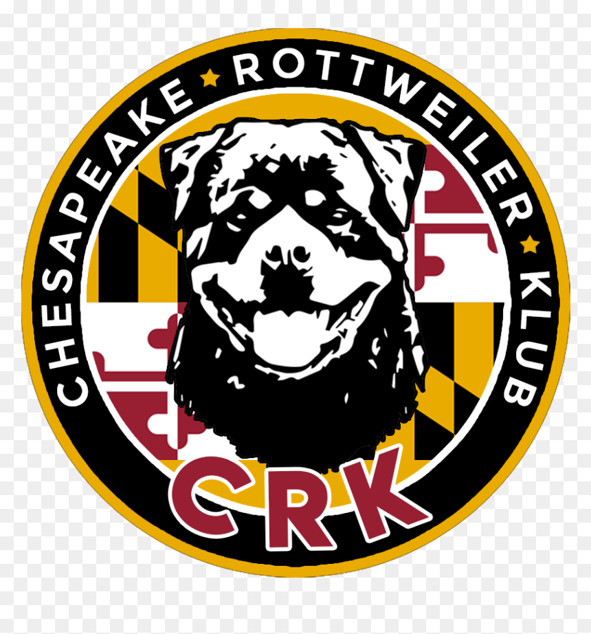 Transparent Rottweiler Png - Dog, Png Download - rottweiler png