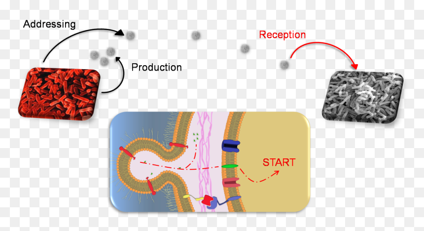 Diagram, HD Png Download - iphone message bubble png