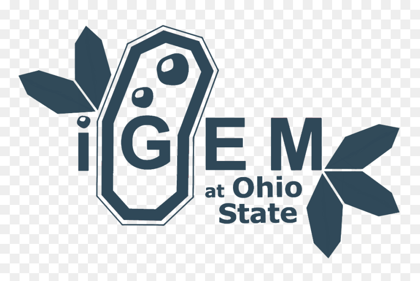 Graphic Design, HD Png Download - ohio state png