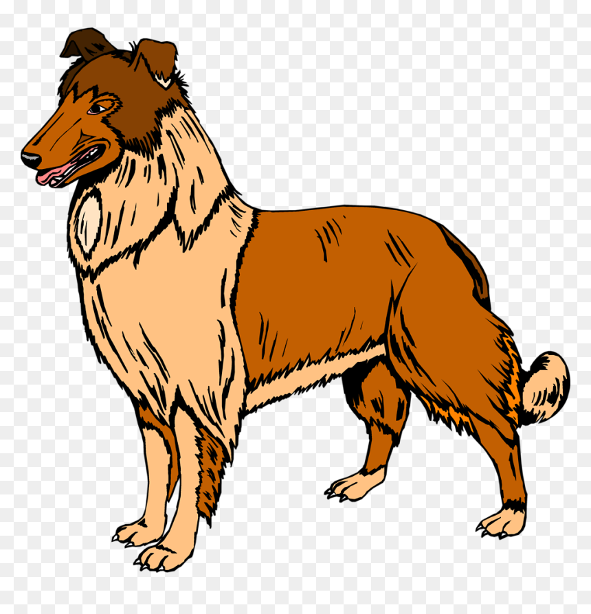 Collie Clipart Real Dog - Dog Clipart, HD Png Download - funny dog png