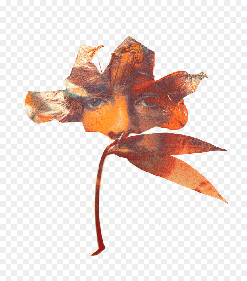 Will Heard Fallin 4 U, HD Png Download - amber heard png