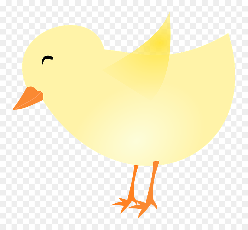 Concepto De Valor En El Arte, HD Png Download - baby chick png