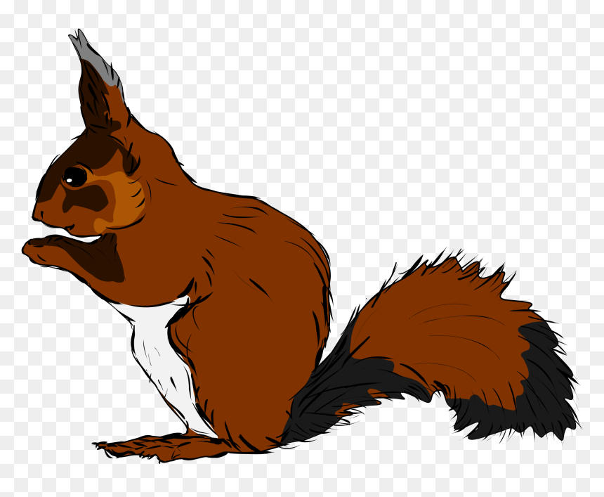 Clipart Squirrel Love - Woodland Animals Flashcards, HD Png Download - squirrel clipart png