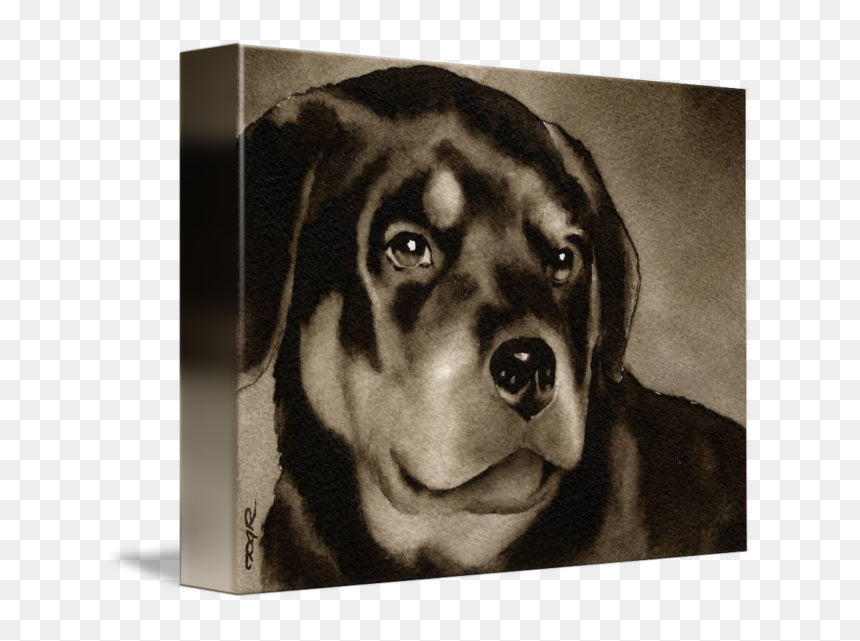 Thumb Image - Rottweiler, HD Png Download - rottweiler png