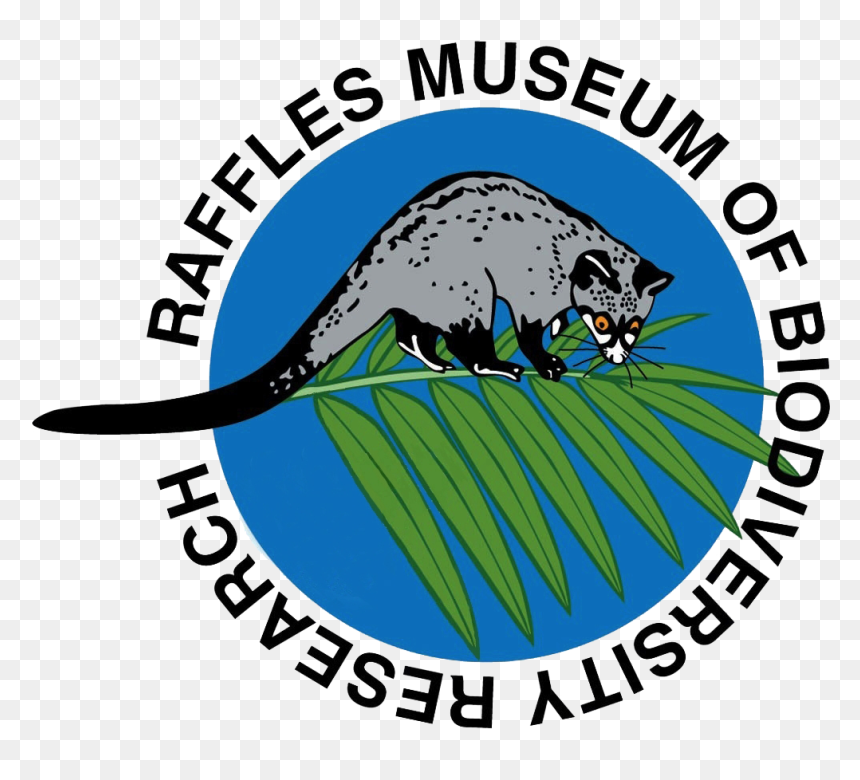 Force Office Of Scientific Research - Possum, HD Png Download - possum png