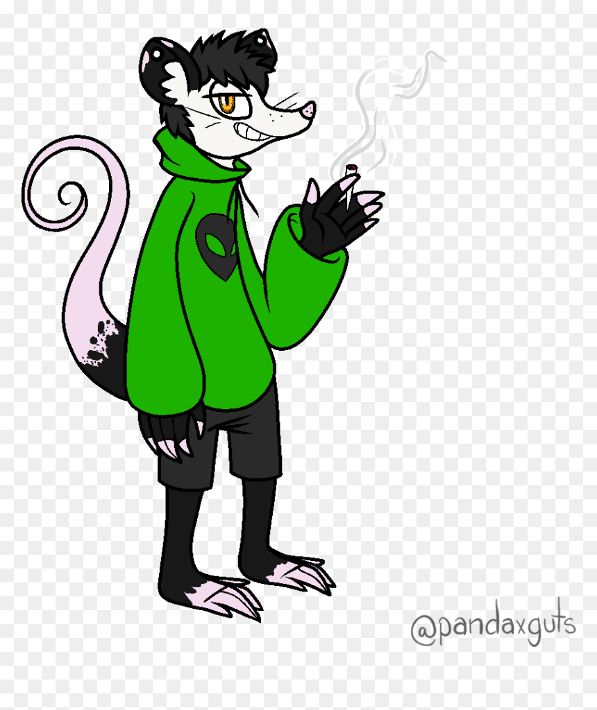 Alex The Possum - Opossum Furrhy, HD Png Download - possum png