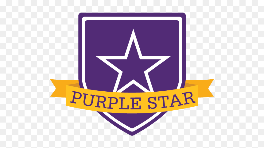 Iso 14001, HD Png Download - purple star png