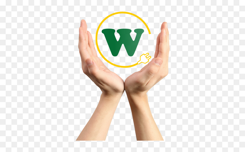 Globe In A Hand, HD Png Download - back of hand png