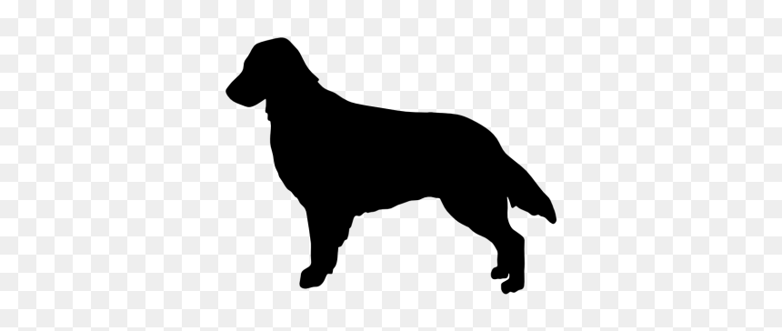 Rottweiler Flat-coated Retriever Golden Retriever Border - Flat Coated Retriever Silhouette, HD Png Download - rottweiler png