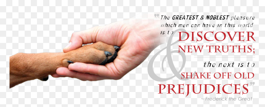 Shaking Hands With Quote - If Having A Soul Means Being Able De Then Animals Are, HD Png Download - pitbull dog png