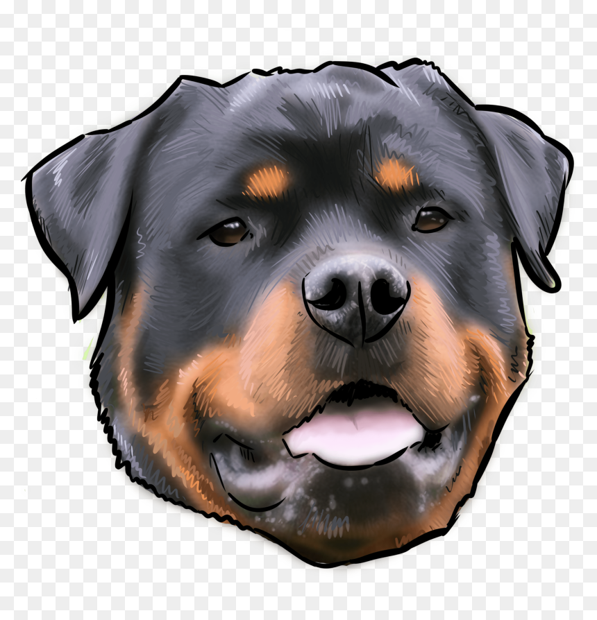 48 Why Are You A Rottweiler - Rottweiler Temperament, HD Png Download - rottweiler png