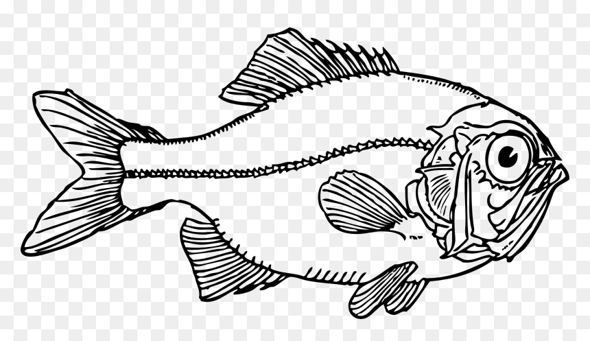 Transparent Fried Fish Png - Fish Clip Art, Png Download - fried fish png