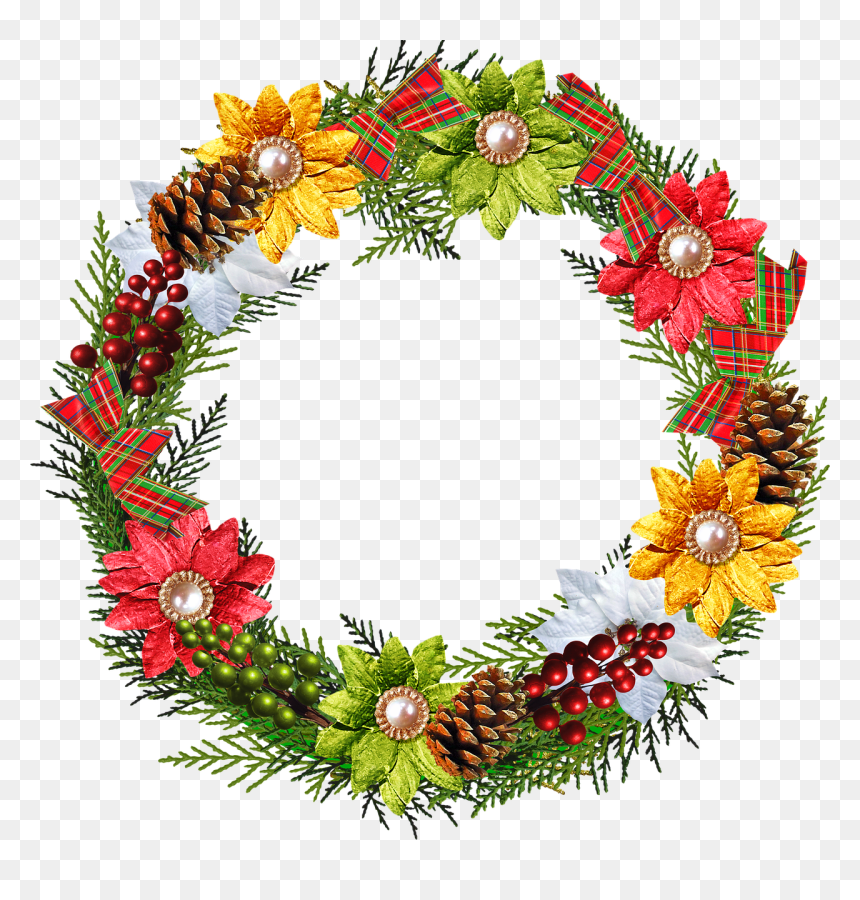 Youth Day Wishes, HD Png Download - christmas reef png