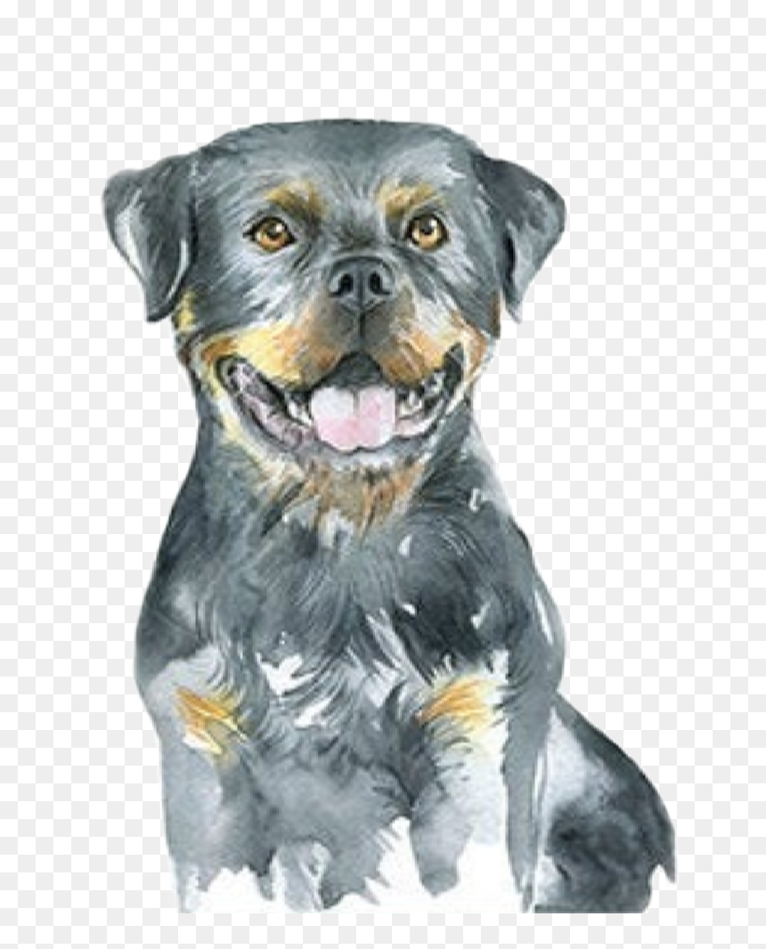 #watercolor #puppy #dog #rottweiler #babyanimals #farmanimals - Rottweiler Watercolor, HD Png Download - rottweiler png