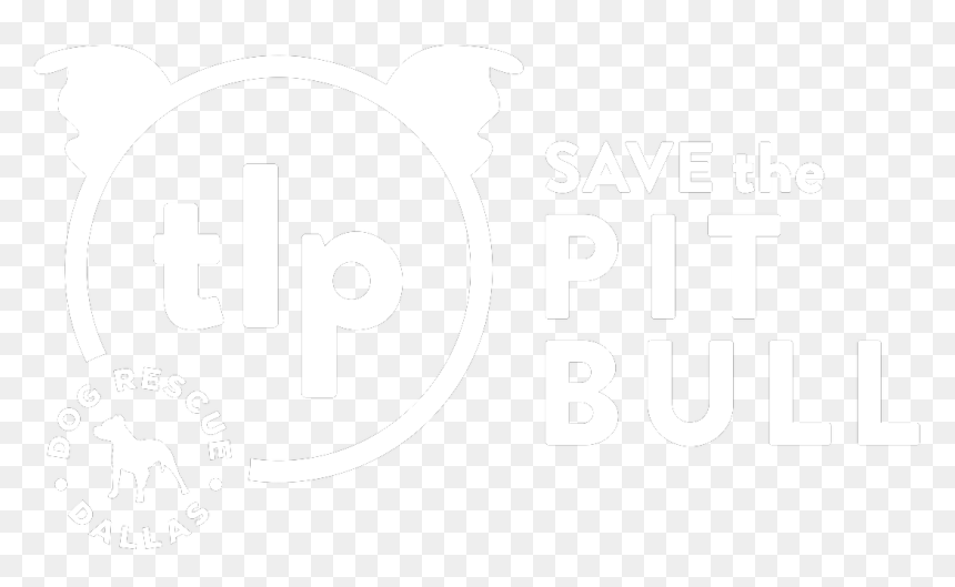 Picture - Antares Mdp Güemes, HD Png Download - pitbull dog png