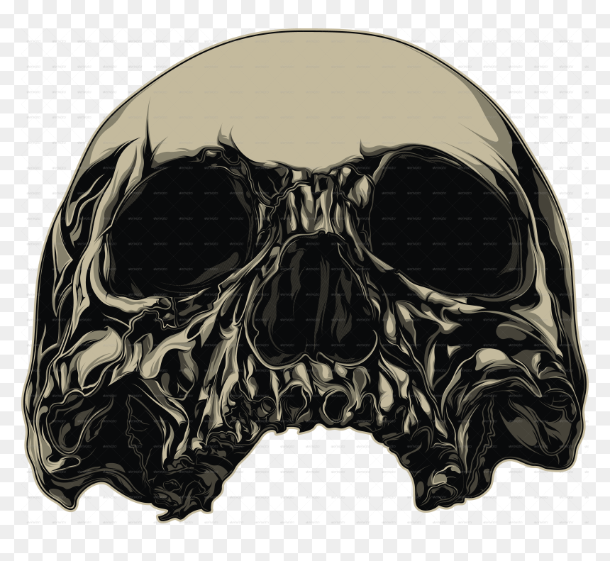 Skull Illustrator Behance, HD Png Download - skull vector png
