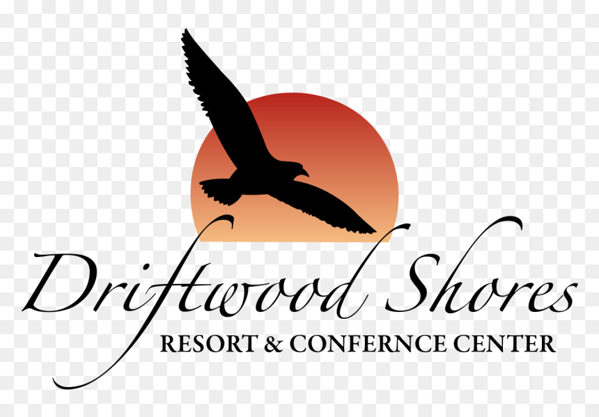 Driftwood Png, Transparent Png - driftwood png