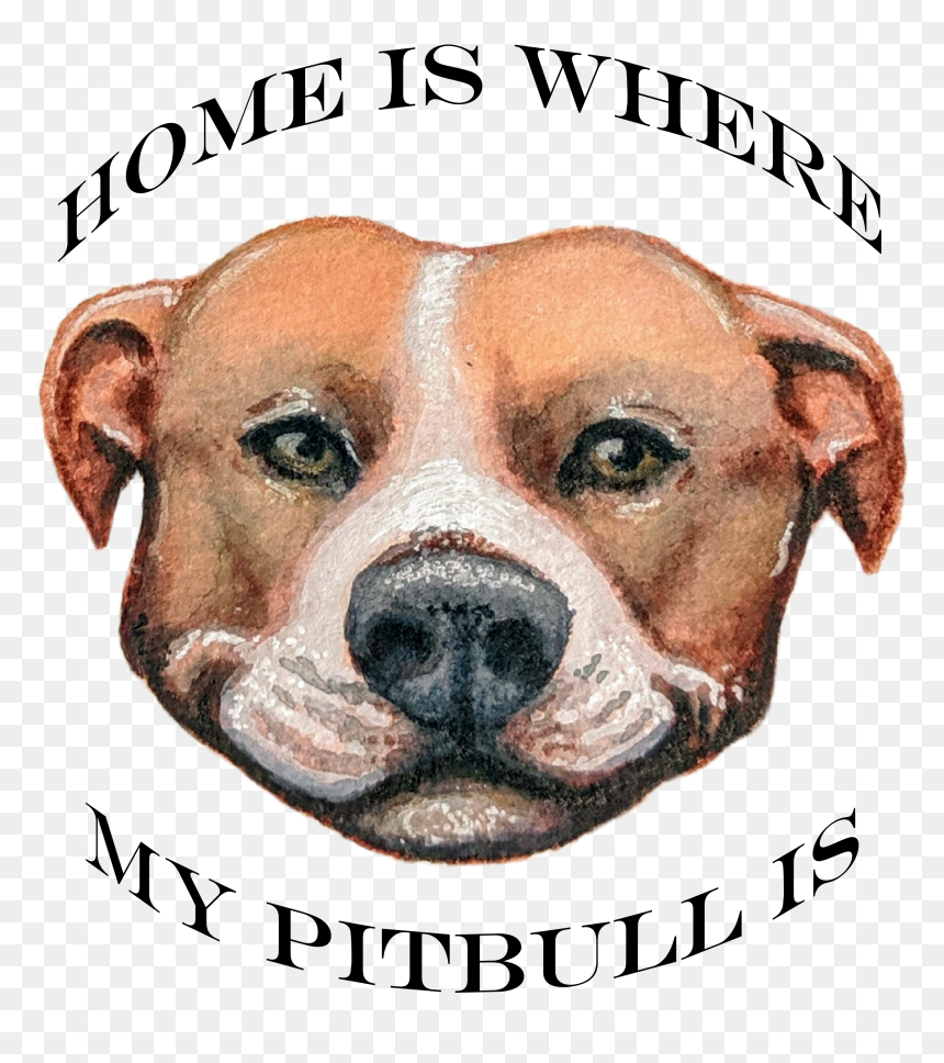 Se Busca Mejor Amiga, HD Png Download - pitbull dog png