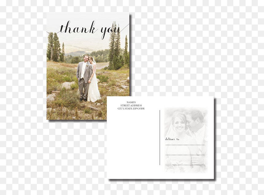 Transparent Thank You - Photograph, HD Png Download - thank you .png