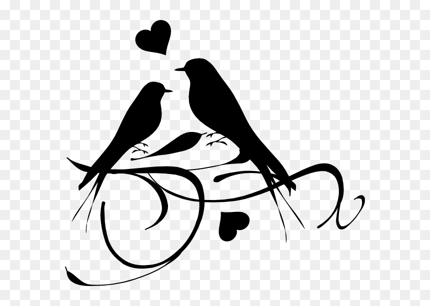 Love Birds Black And White, HD Png Download - bird vector png