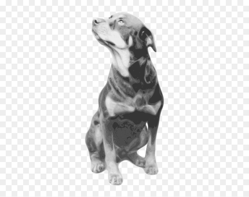 Photorealistic Vector Drawing Of Rottweiler - Rottweiler Quotes, HD Png Download - rottweiler png