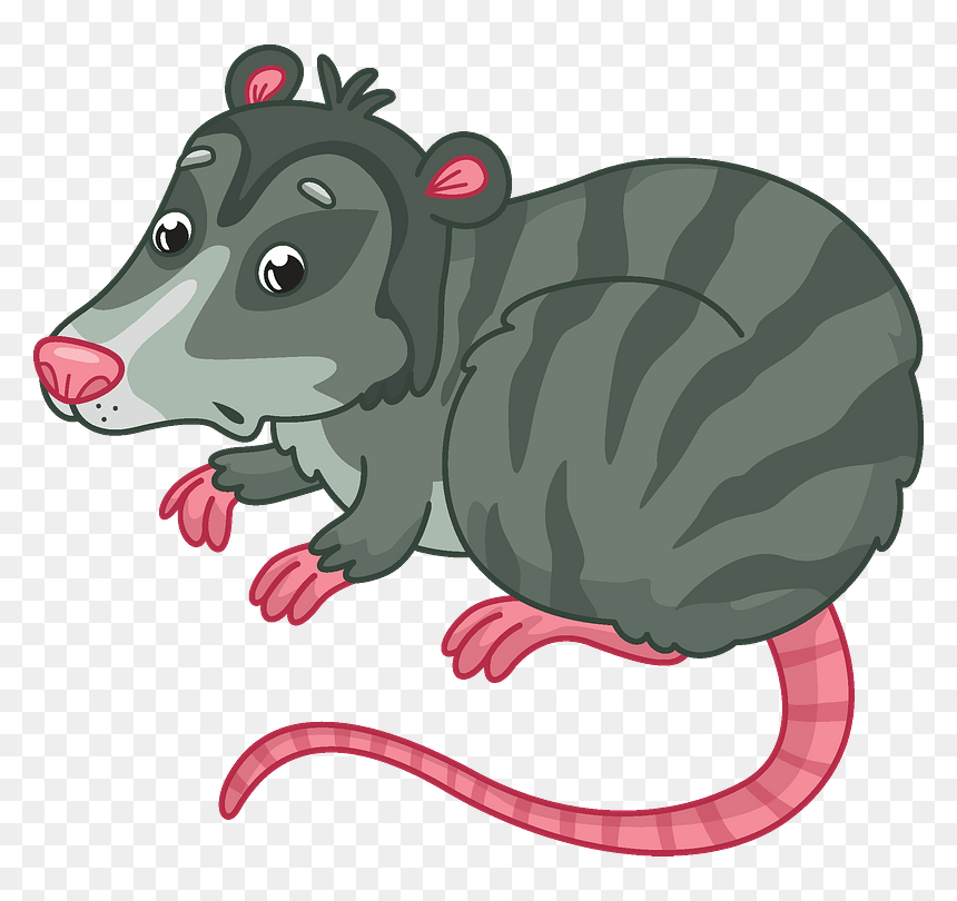 Opossum Clipart, HD Png Download - possum png