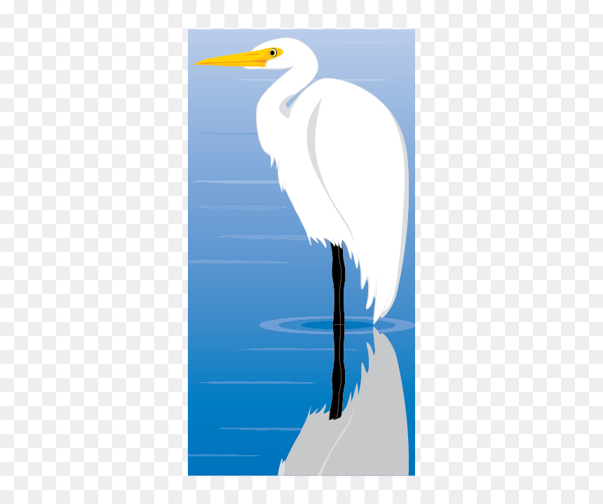 Egret Bird Vector Clip Art - Great Egret, HD Png Download - bird vector png