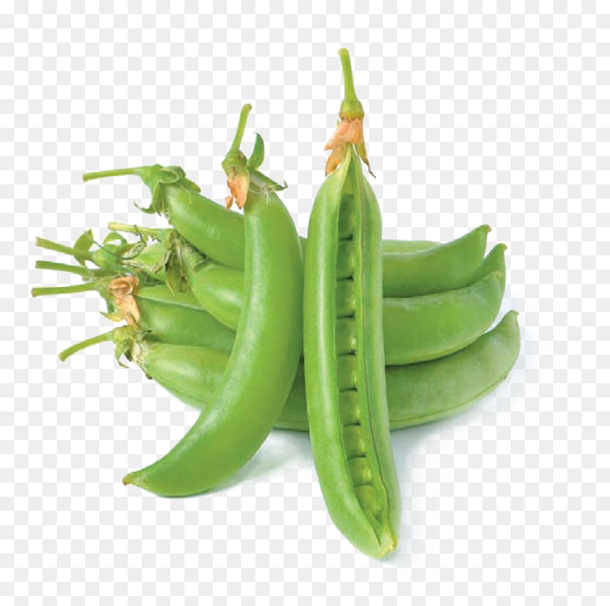 Pea Png Hd Quality - Snap Pea, Transparent Png - pea png